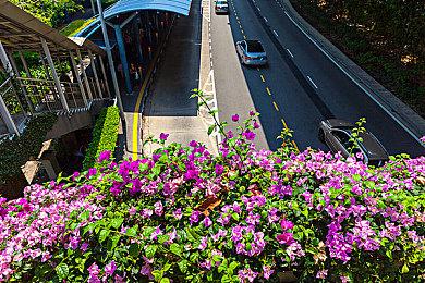 黑暗幻想RPG《Project Pantheon》封测3将于7月开放 新增制作与终极技能系统